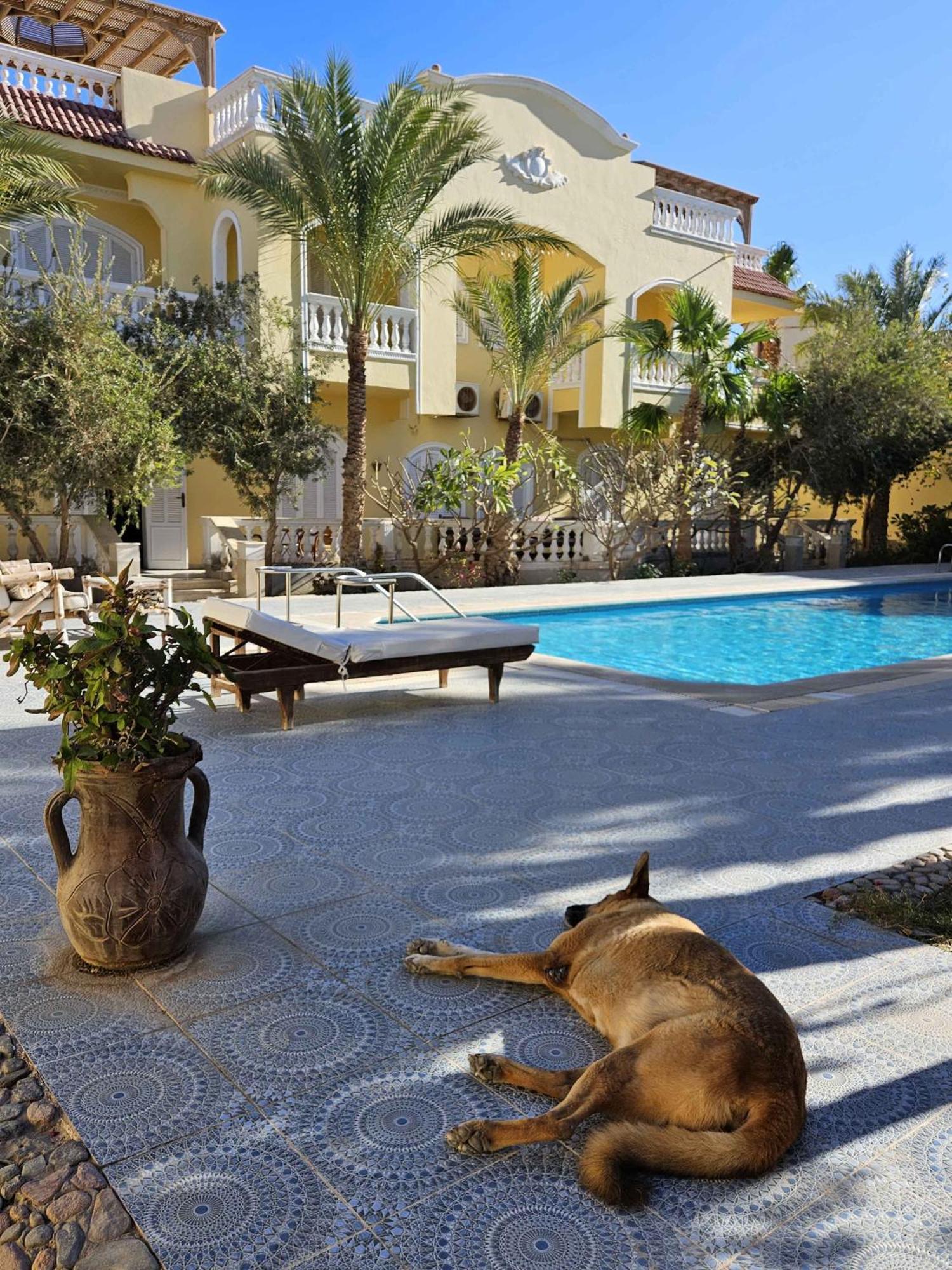 Villa Shahrazad Hurghada Esterno foto