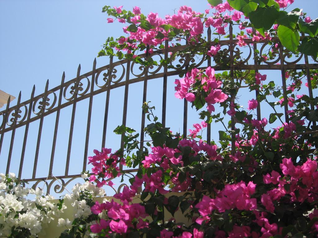 Villa Shahrazad Hurghada Esterno foto